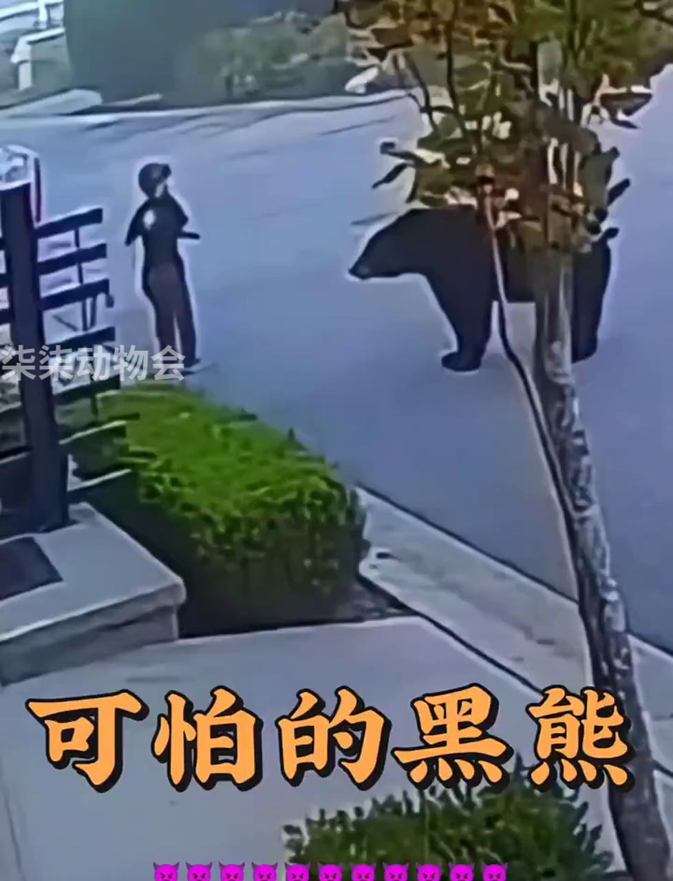 躲过一劫图片