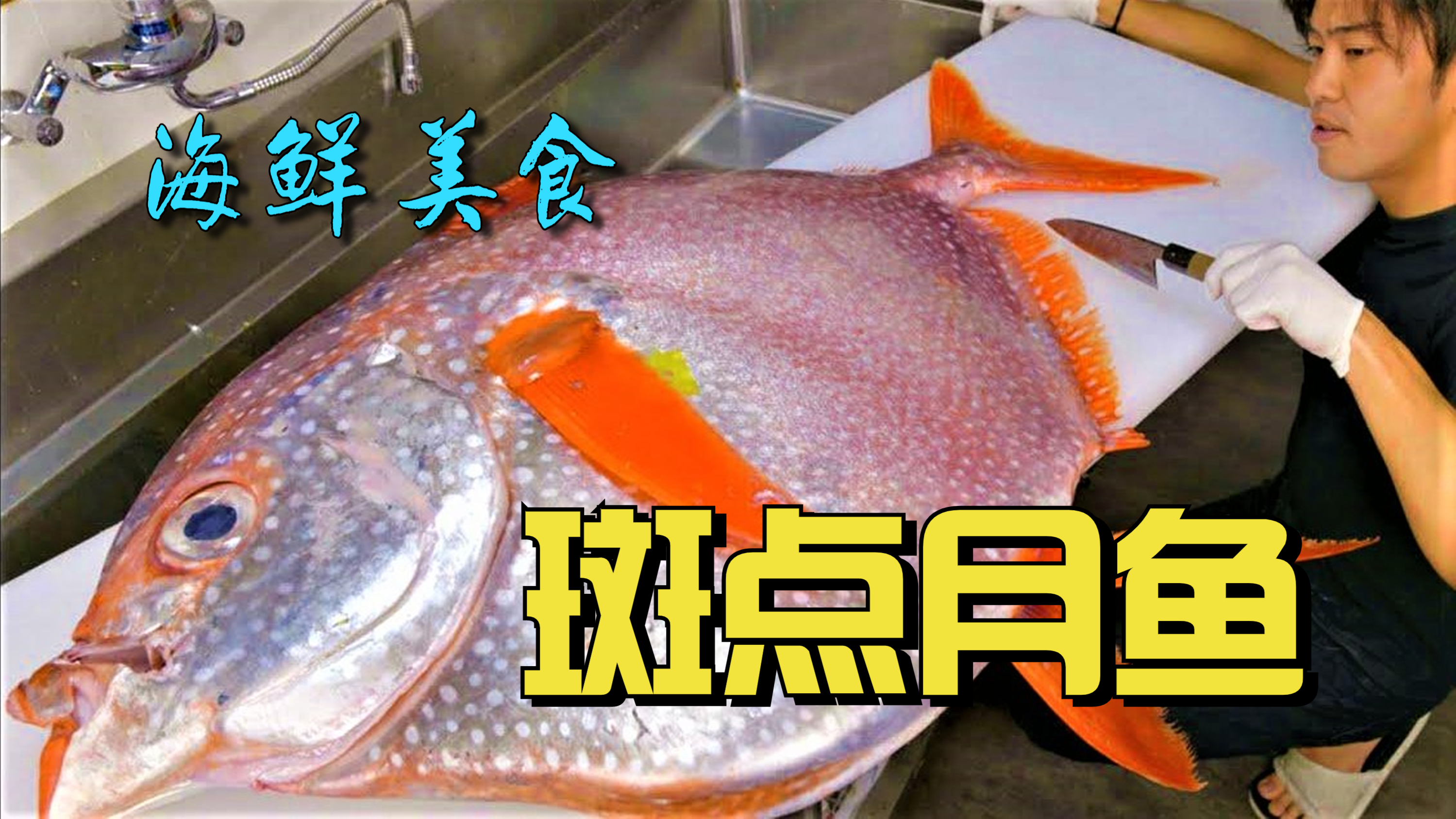 万物皆可刺身,连鱼眼都不放过,84斤月鱼竟被日本人做出三种吃法