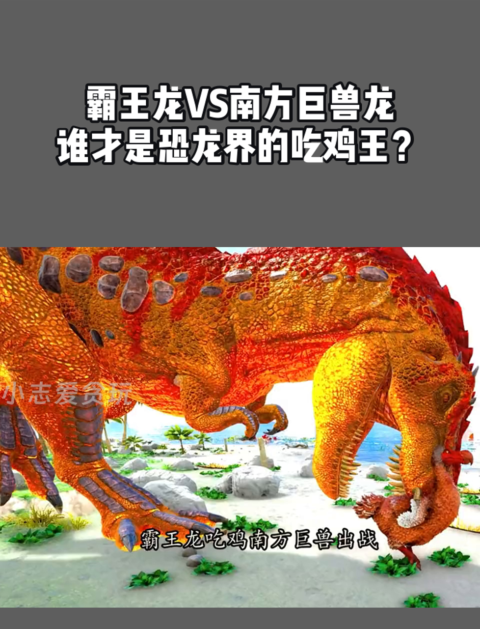 霸王龙vs南方巨兽龙,谁才是恐龙界的吃鸡王?