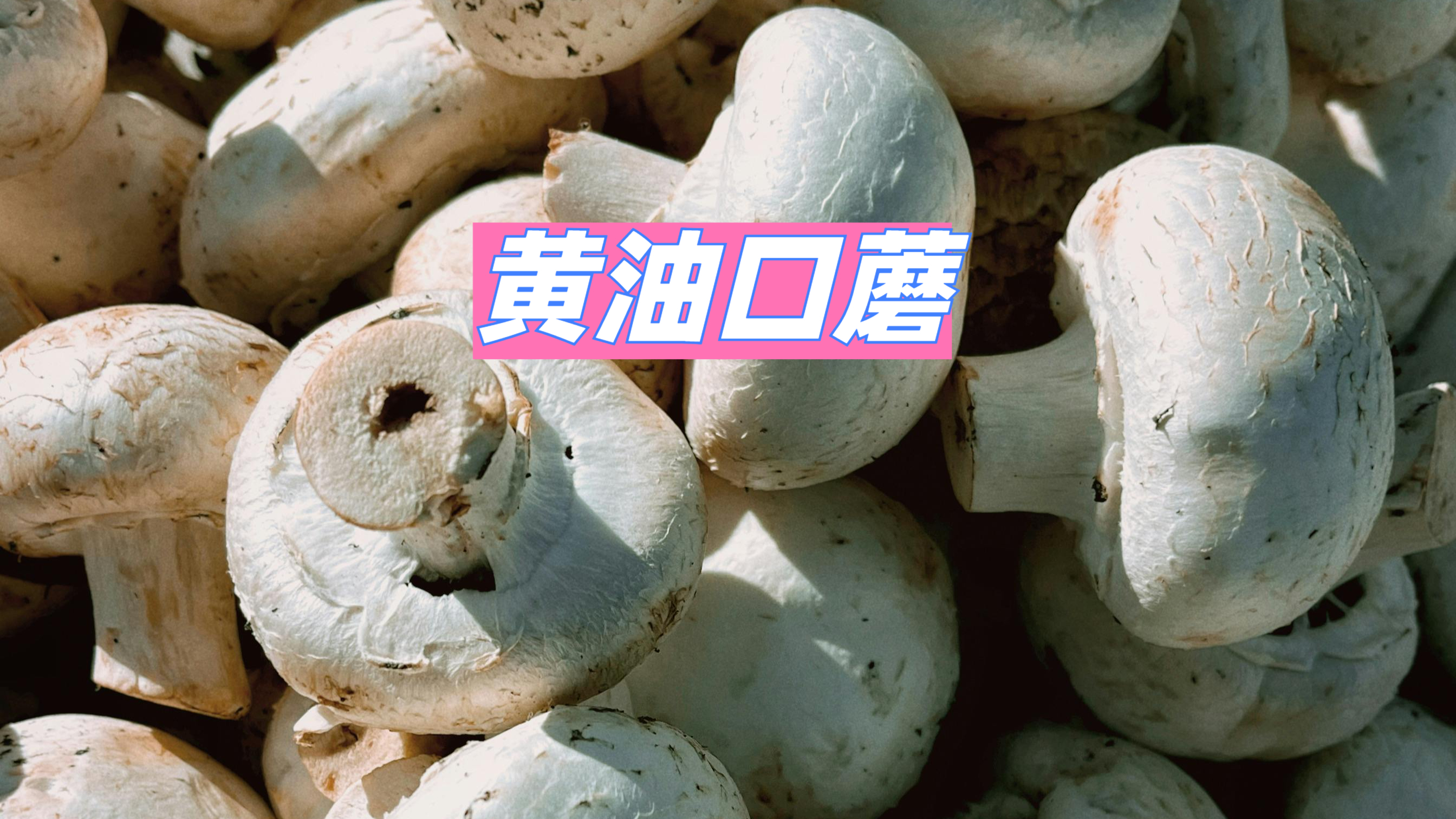 白蘑菇是很好的补硒食材,怎么炒好吃又简单?加入黄油秒变西餐