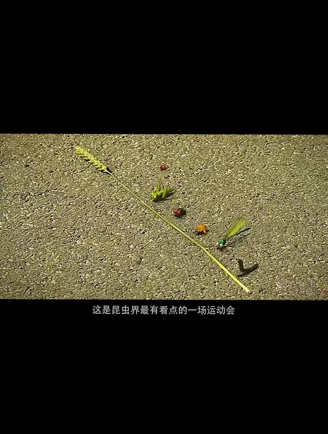 微观小世界剧照图片