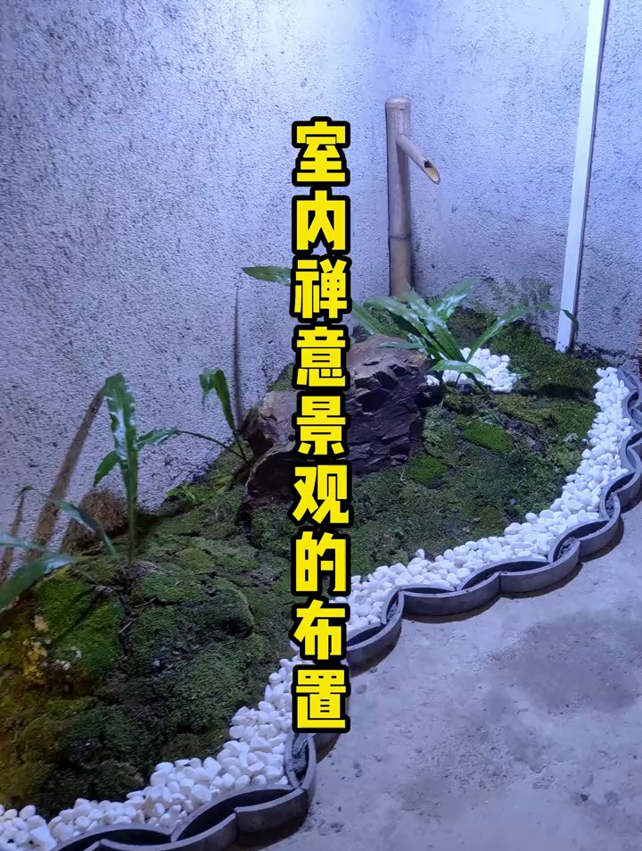 室内绿植,室内禅意景观