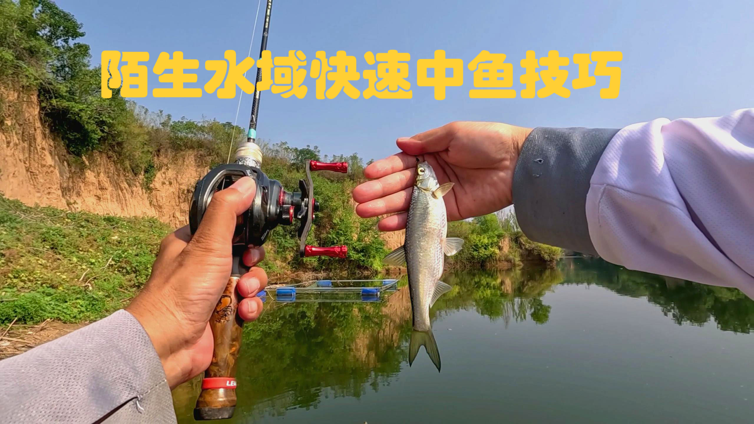 现在知道不算晚,路亚白条陌生水域快速中鱼诀窍,掌握了轻松连竿