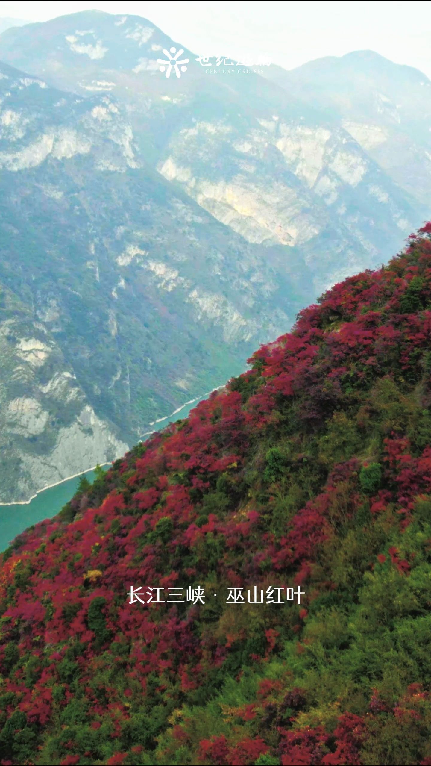 太美了,长江三峡红叶正当时!