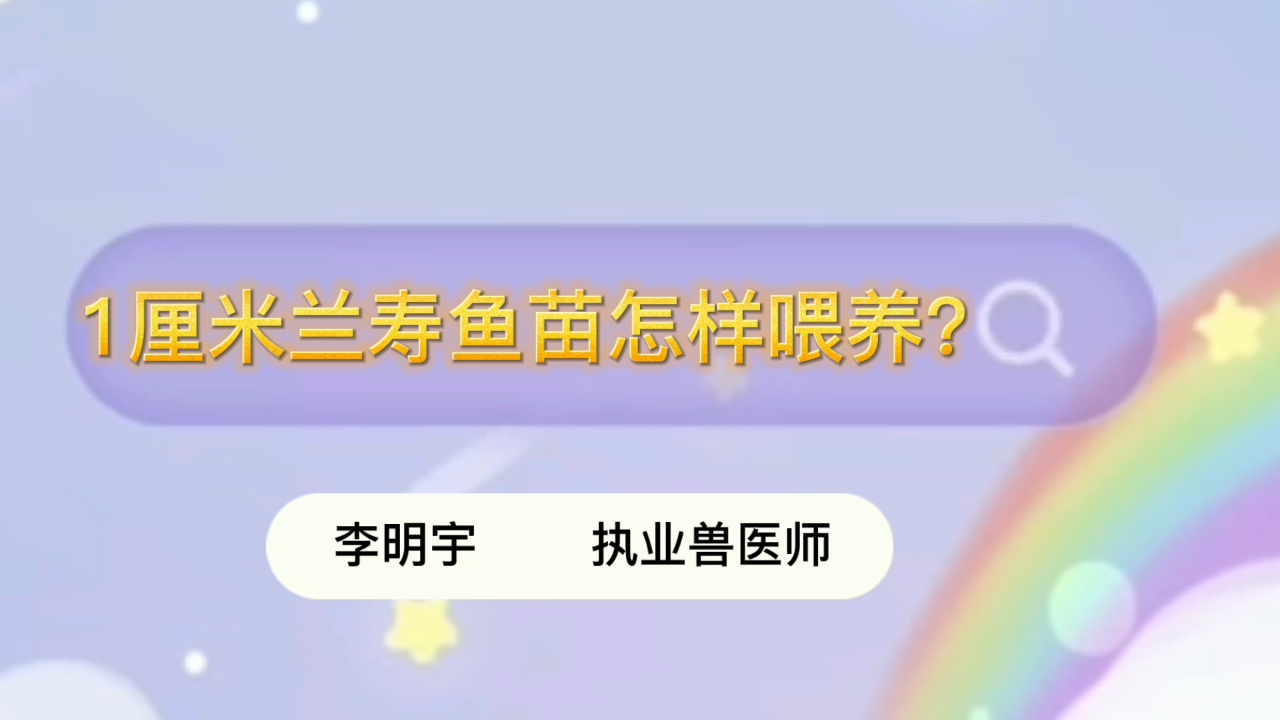1厘米兰寿鱼苗怎样喂养?