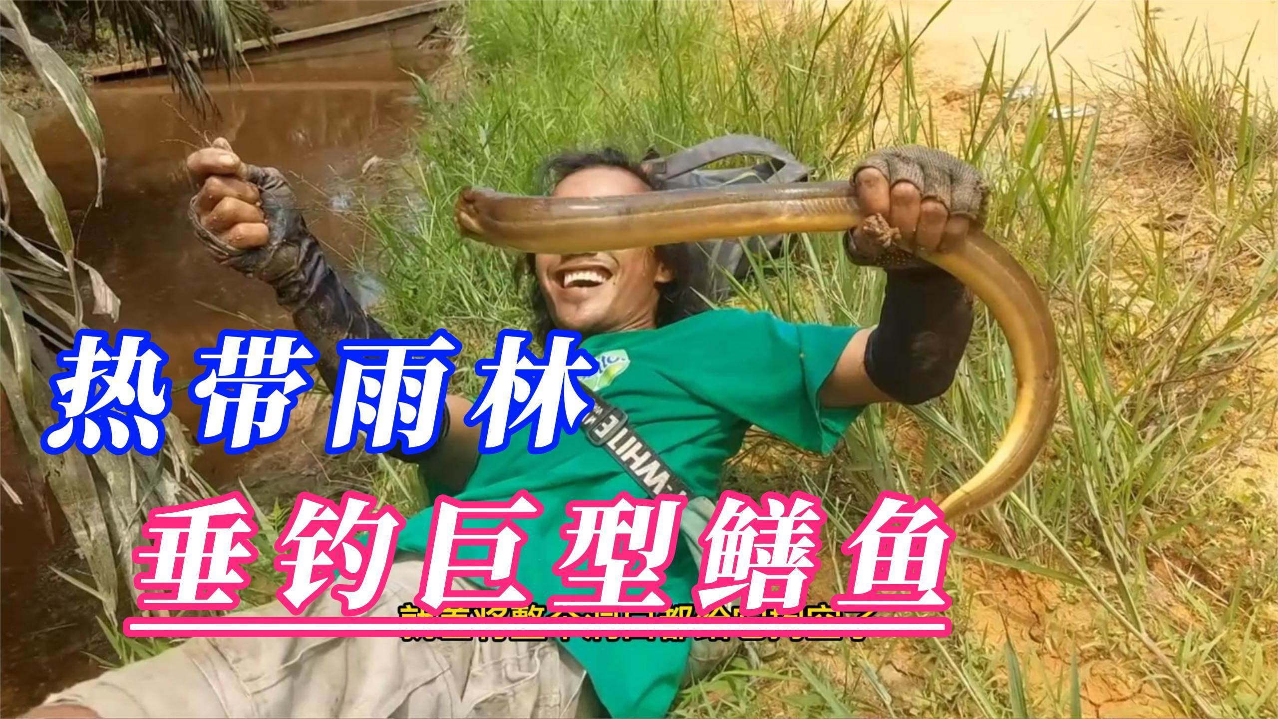 这鳝鱼也太好钓了,每条都有半斤以上,只是他们这钓鳝鱼方式不行