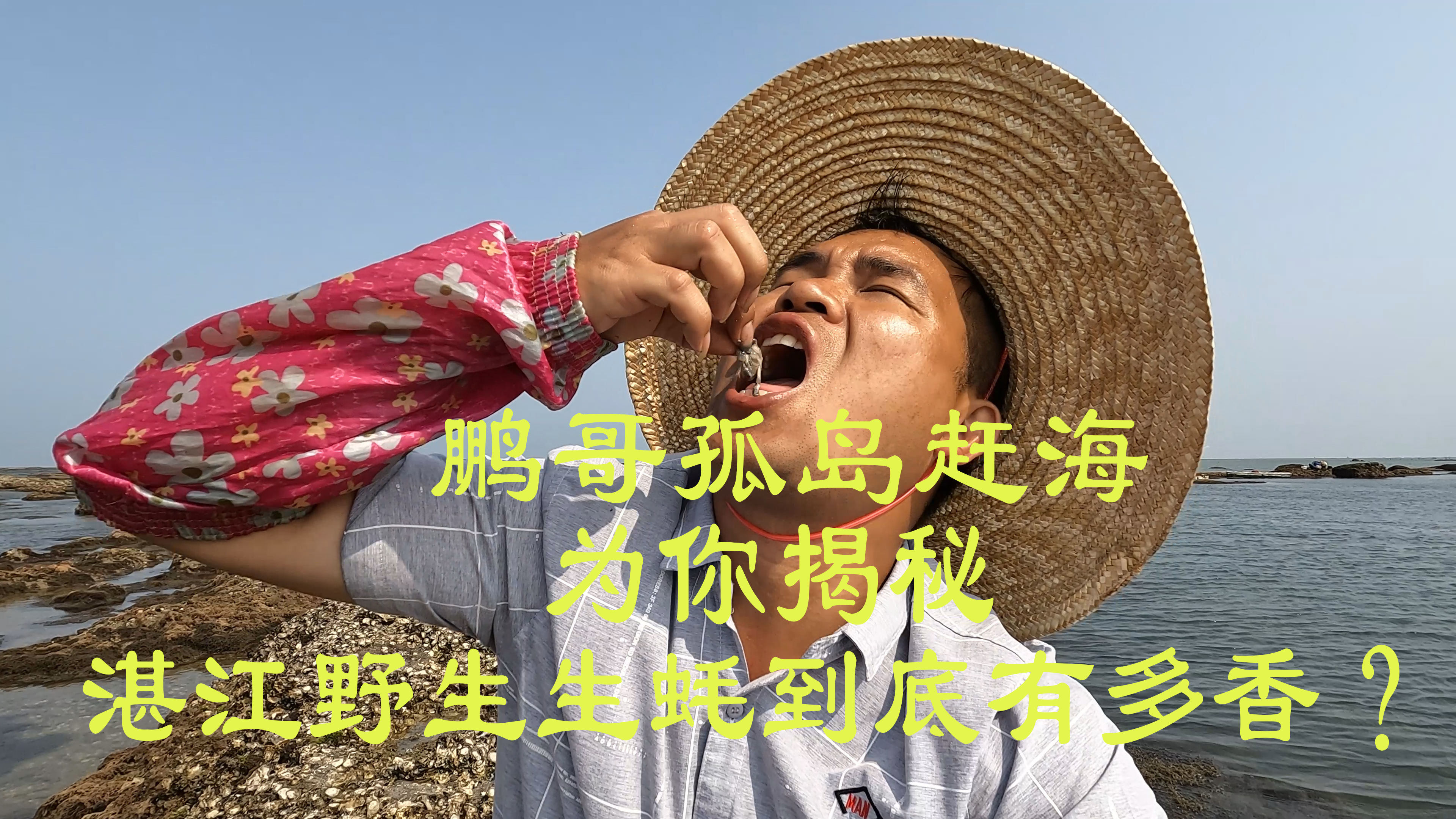 鹏哥孤岛赶海,为你揭秘:湛江野生生蚝到底有多香?
