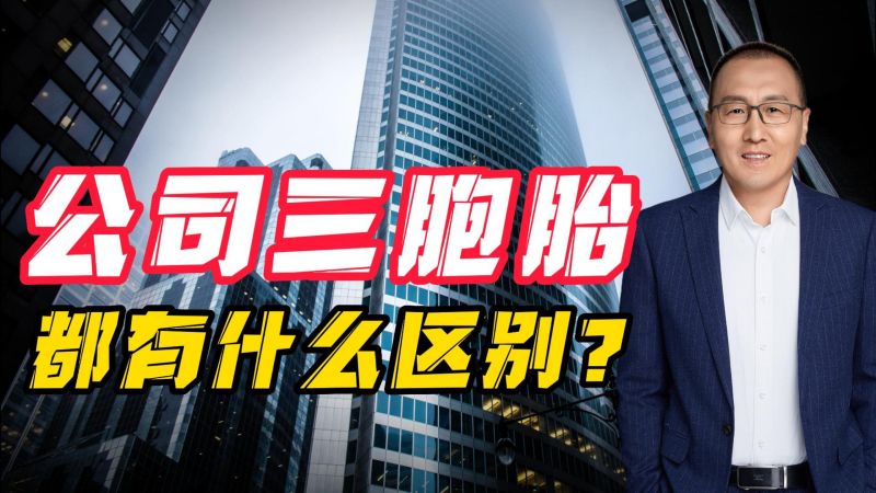 法人，法定代表人，法人代表有什么区别？,法律,法律综合,好看视频