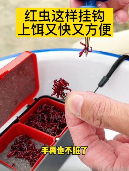 红虫这样挂钩,上饵又快又方便,关键还不脏手!