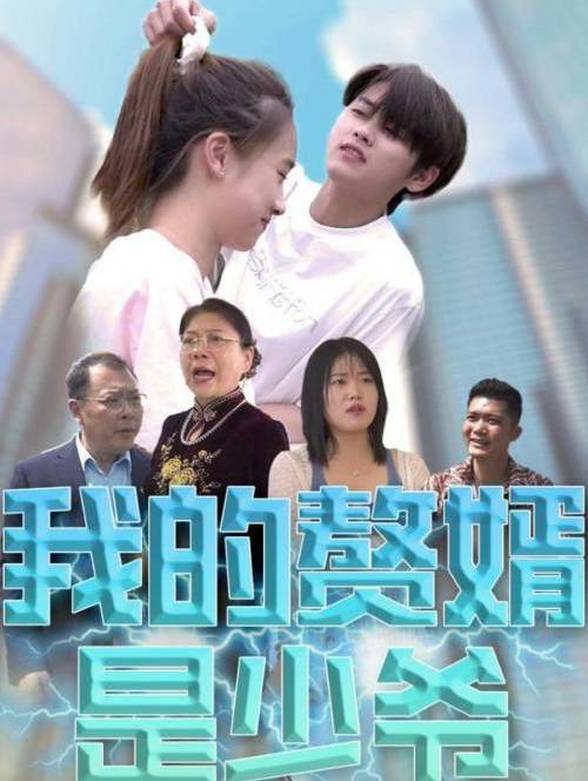 我的赘婿是少爷}