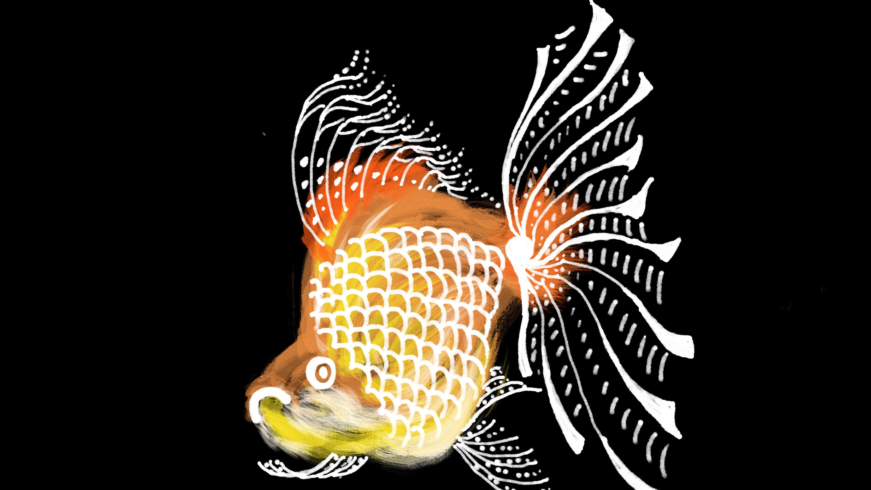 我爱金鱼,所以要用我的画法画一条不一样的金鱼,高鳍红剑作品