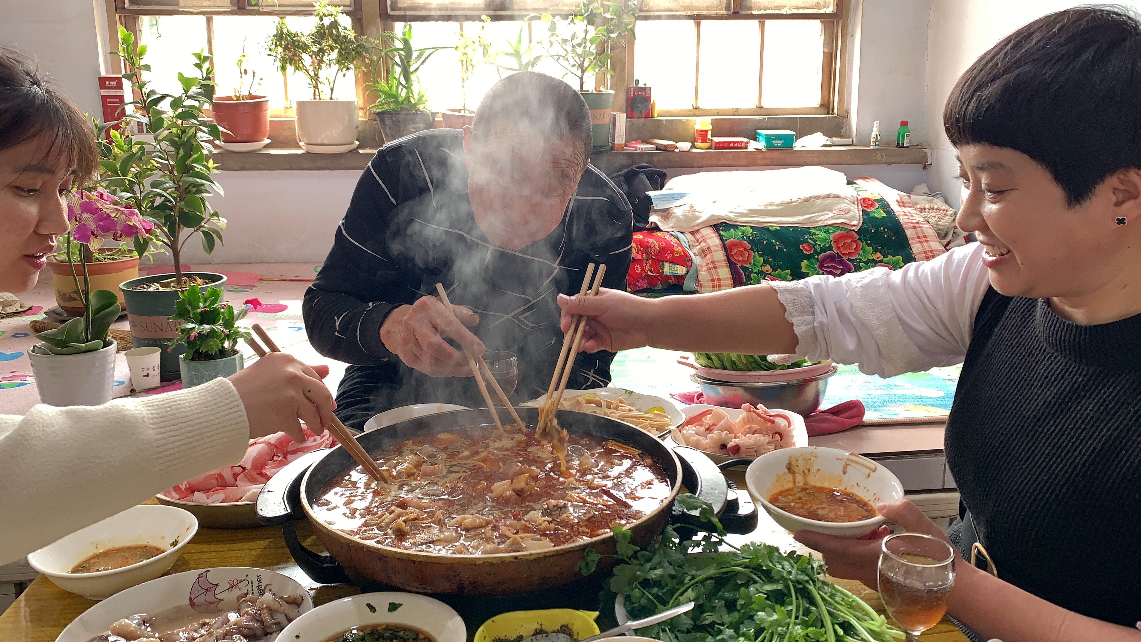 天气有点冷,从院子拔点蔬菜做个火锅吃,热热乎乎,吃得好舒服
