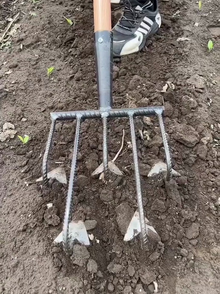 五齿耘锄,用它除草翻地松土轻松又省力