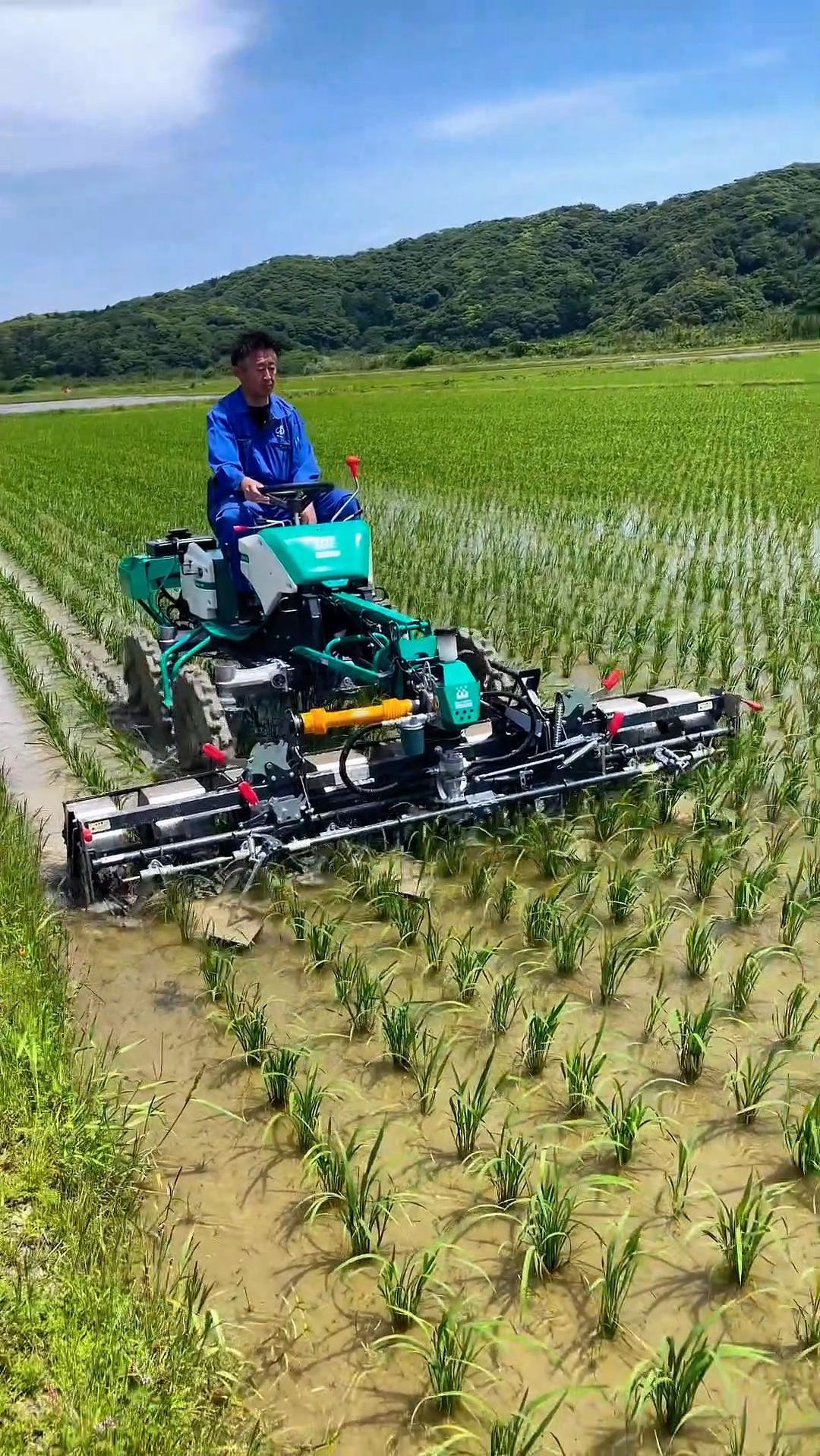 从此告别手工除草:7行同步清理的稻田除草机