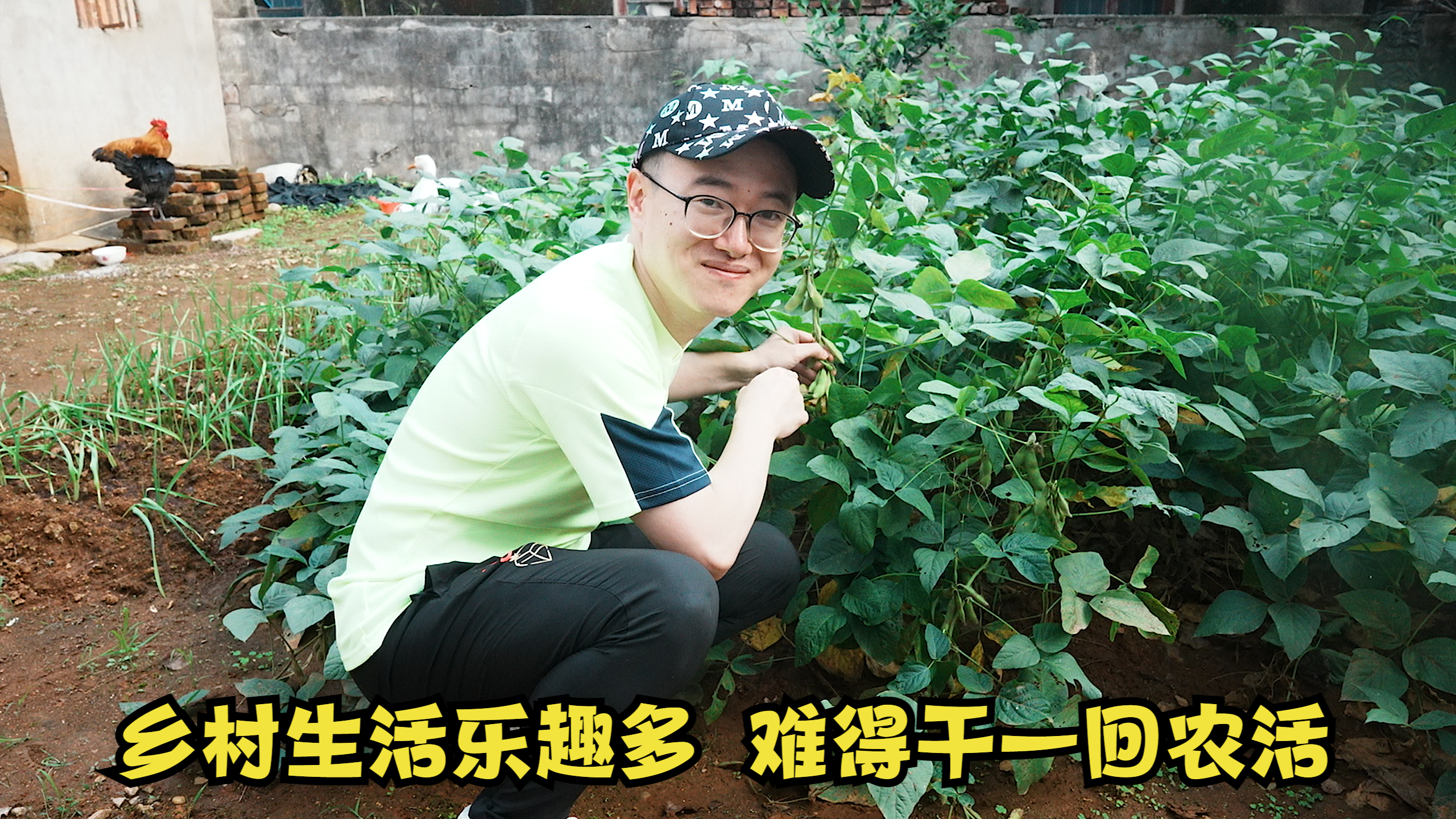 樊医生在岳母家体验乡村生活乐趣多,干农活太偷懒,老妈只能自己上