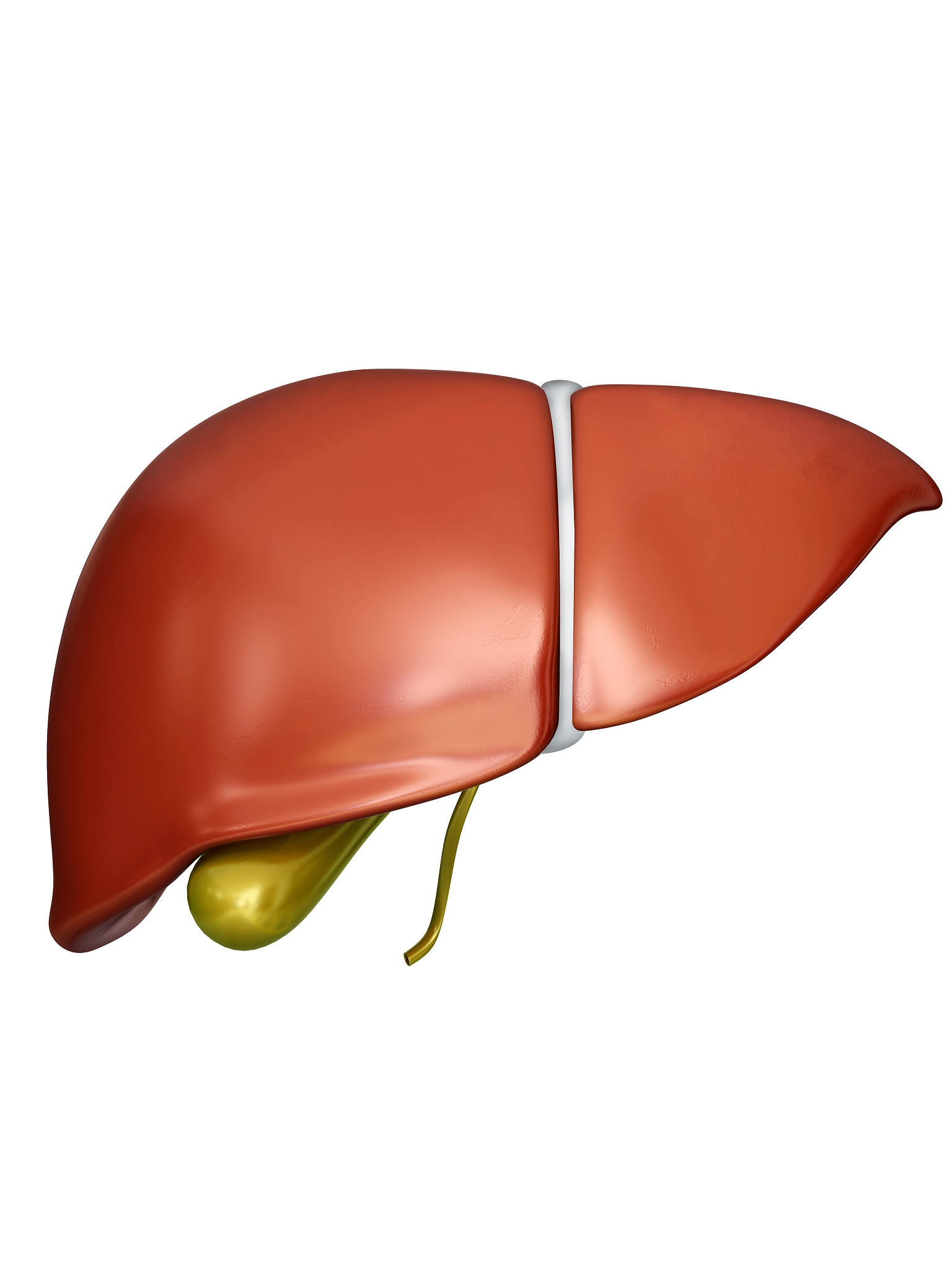 河南郑州肝脏体检活动来啦!