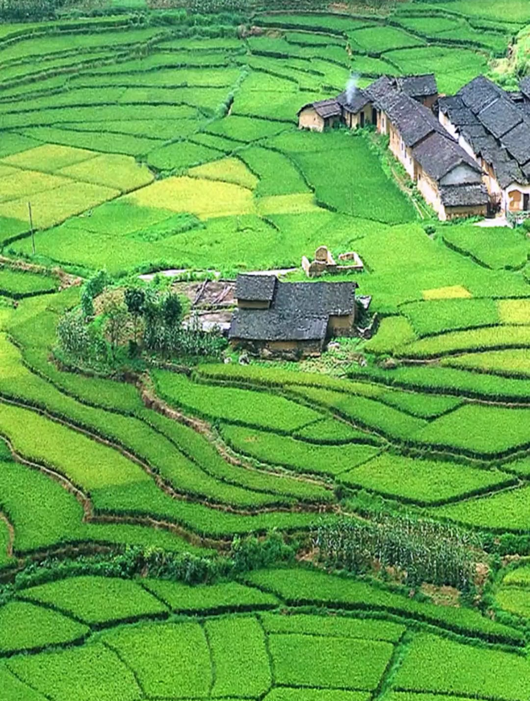 大山里被层层叠叠梯田围绕的村子,西南的农村美景