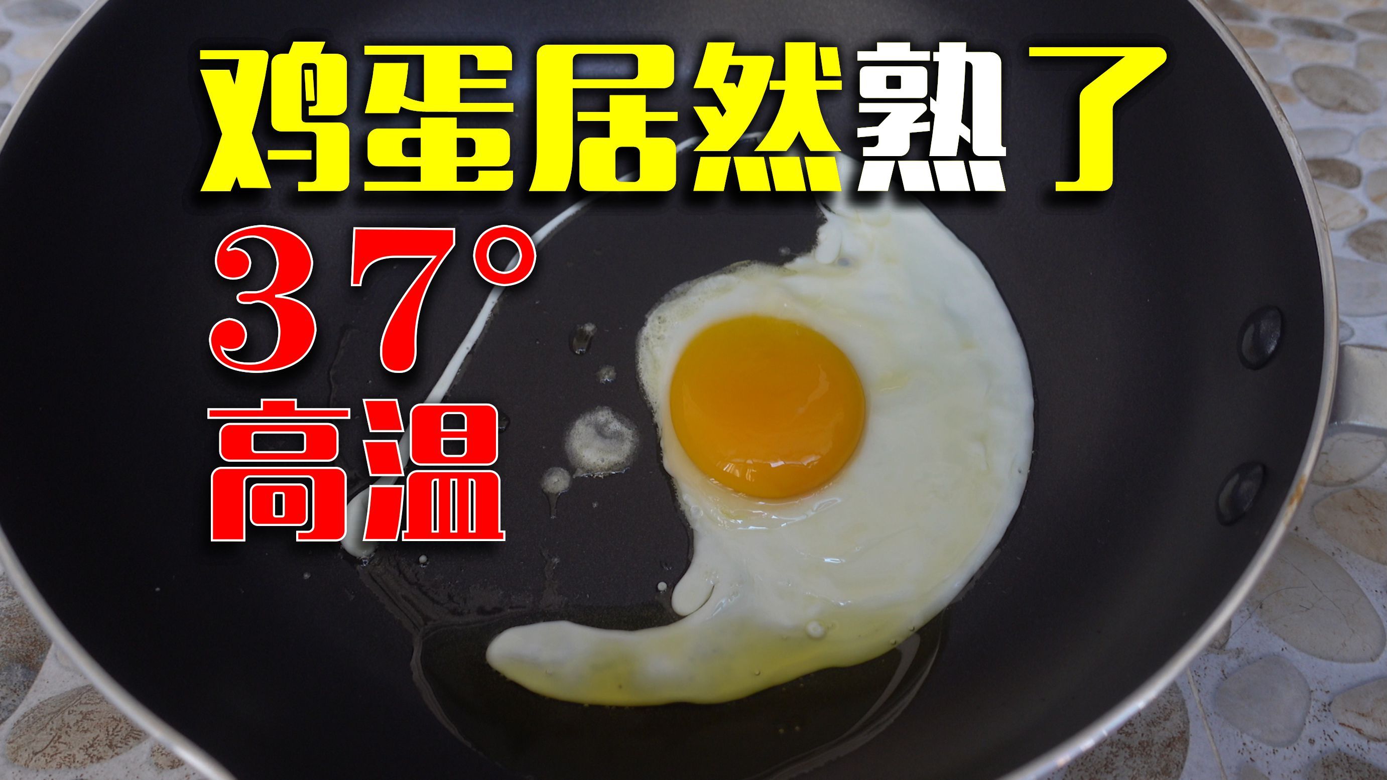 室外37°高温,我真的把鸡蛋煎熟了!