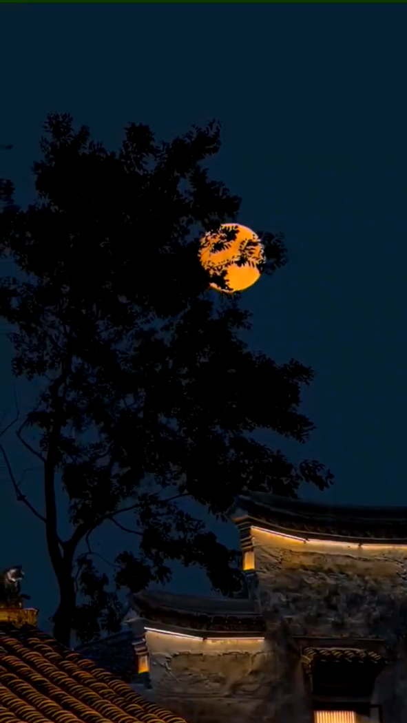 古建筑月亮灯光树梢,世事千帆过,岁月终将如月光般温柔