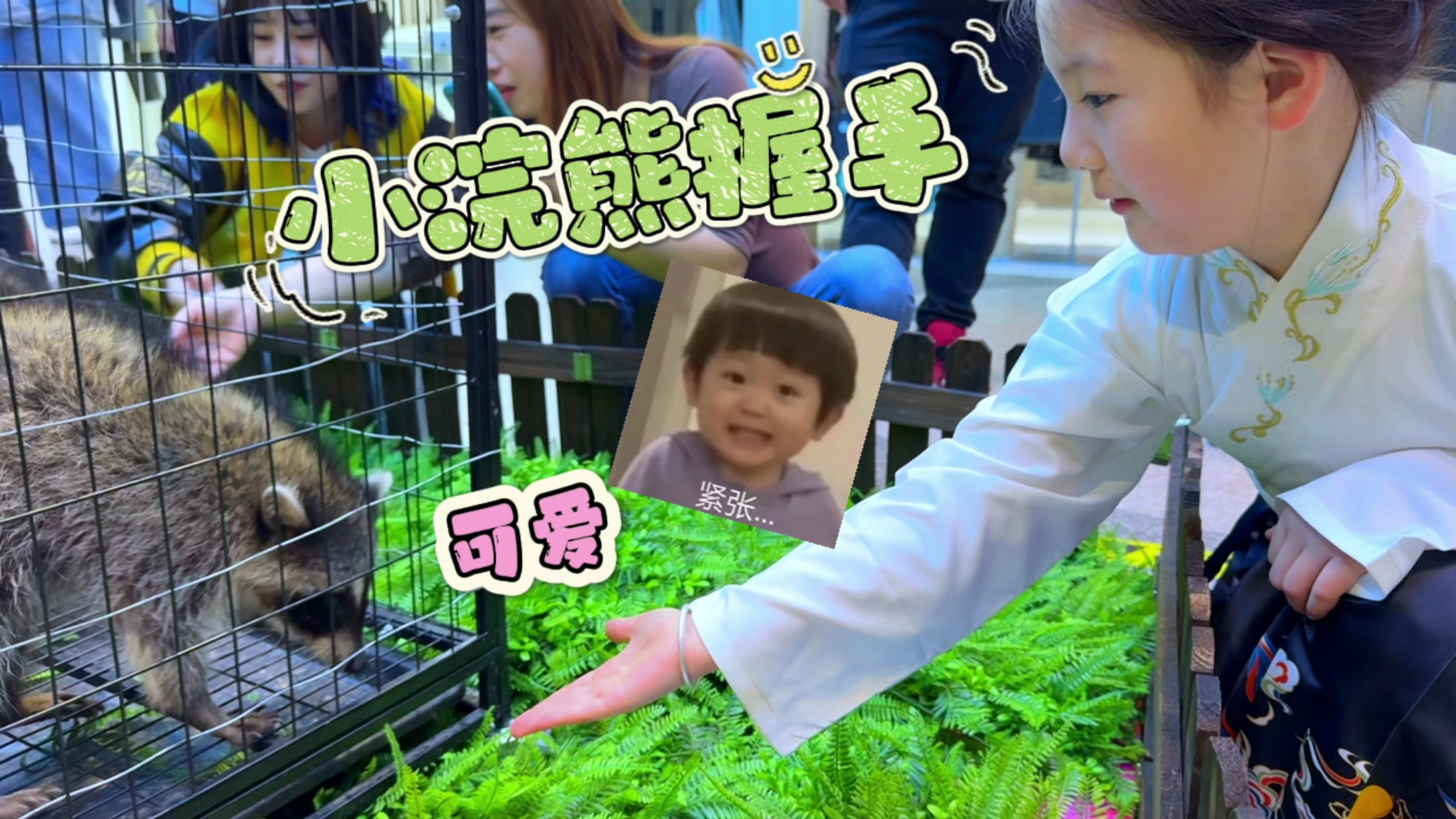 我跟小浣熊握手，它真的很聪明懂事，就轻轻地碰一下我的手