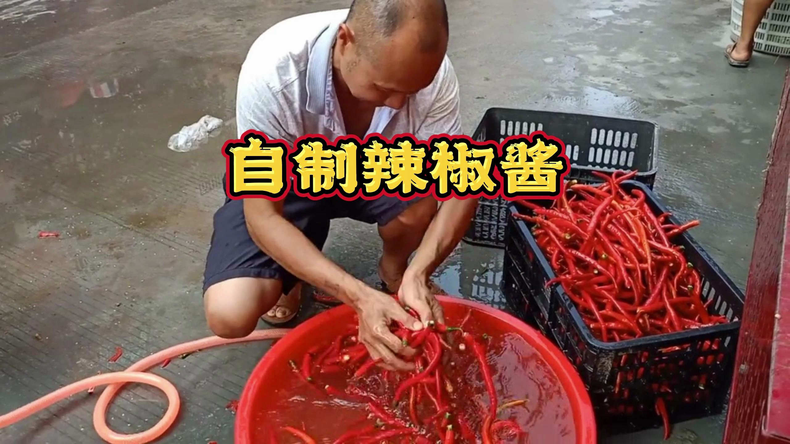 村里开始做辣椒酱了,各种口味的,你喜欢哪种味道?看看怎么做吧