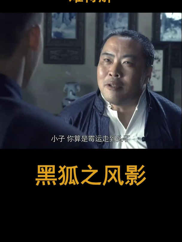 黑狐之风影:丁三爷急赴援,王文渊危难待解