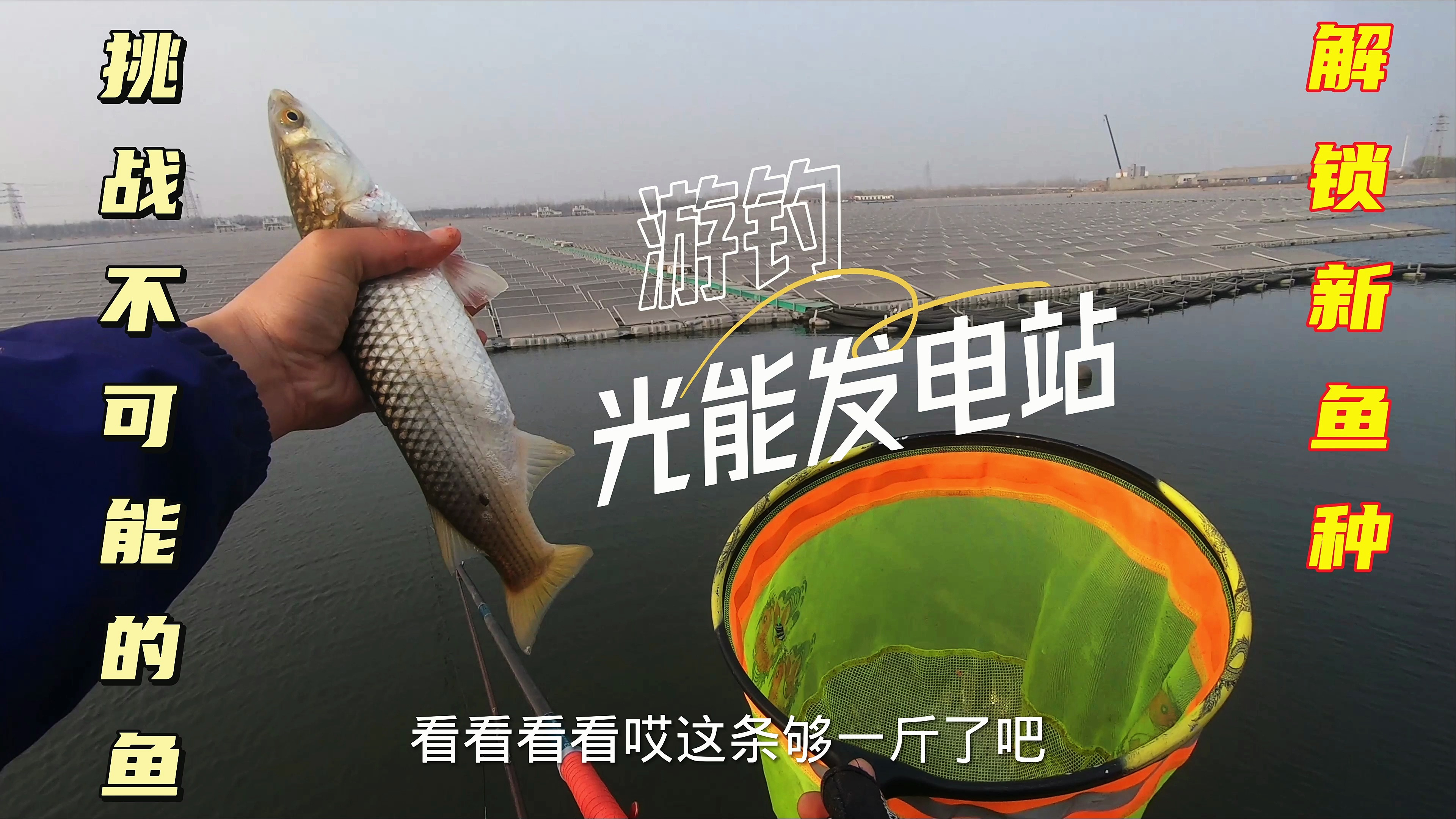 画眼影的鱼见过吗?朋友吹嘘这里斤鲫成群,结果却梭鱼连杆!