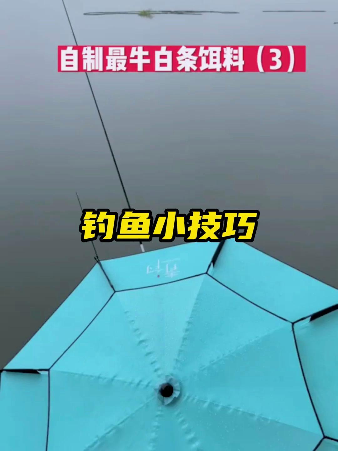 钓白条的饵料如何配制?这个视频让你一看就会!