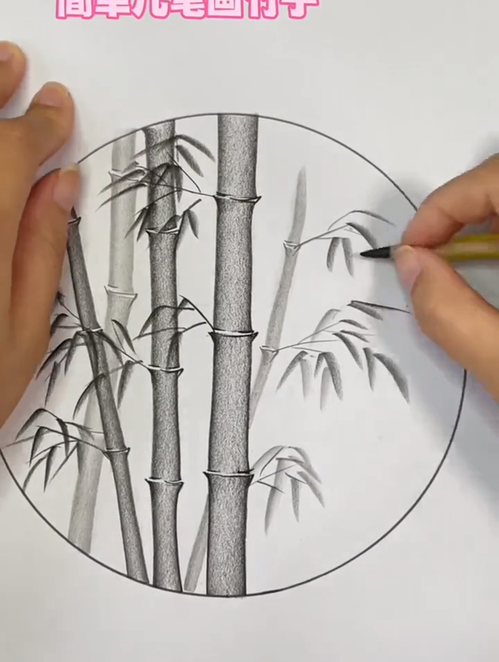一起学画画一学就会系列炭笔画竹子的简单画法