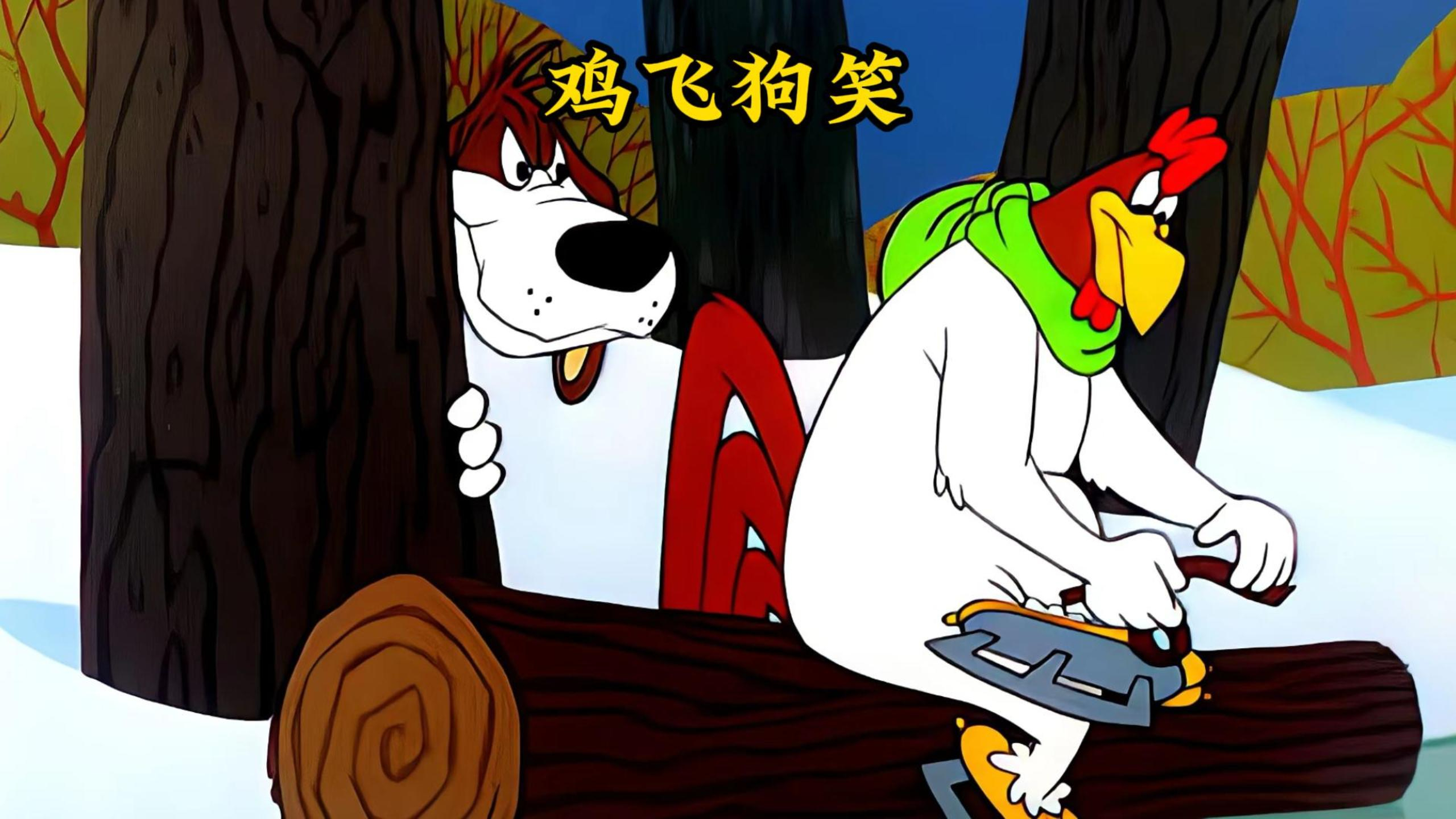 狡猾公鸡碰到阴险老狗,两个老六的极限拉扯,究竟谁能笑到最后