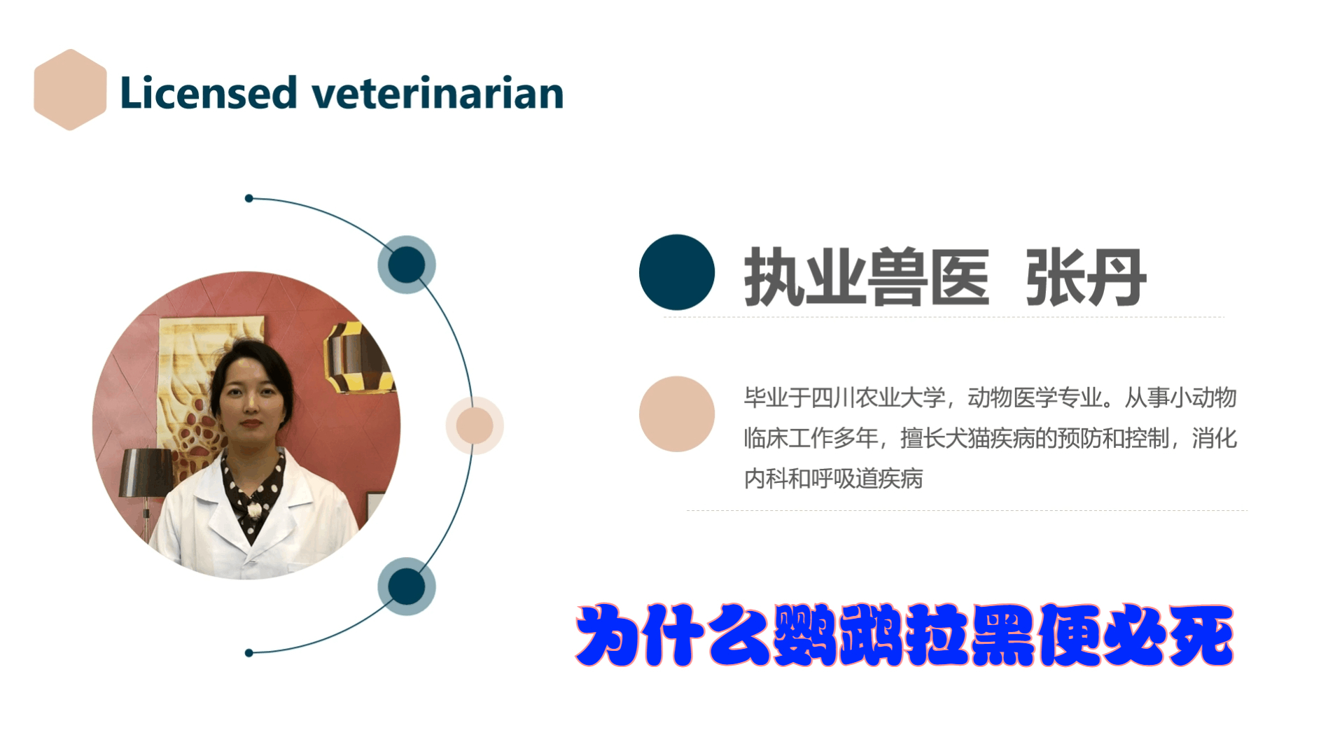 为什么鹦鹉拉黑便必死