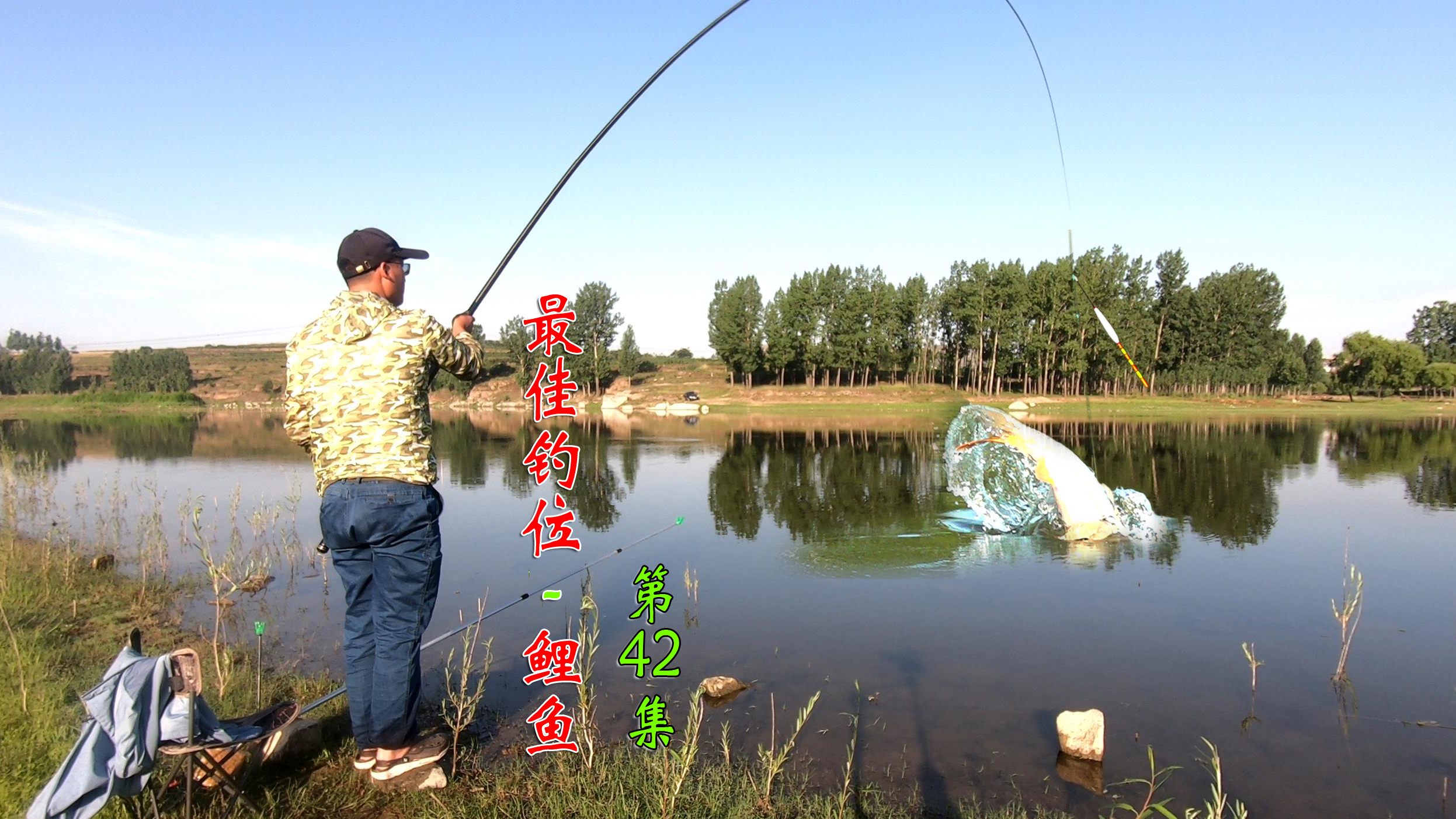 野钓鲤鱼,反其道而行,浅水照样有惊喜!