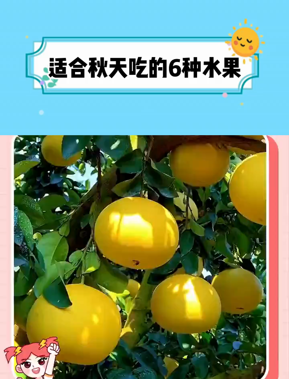 适合秋天吃的6种水果,水果党赶紧码住