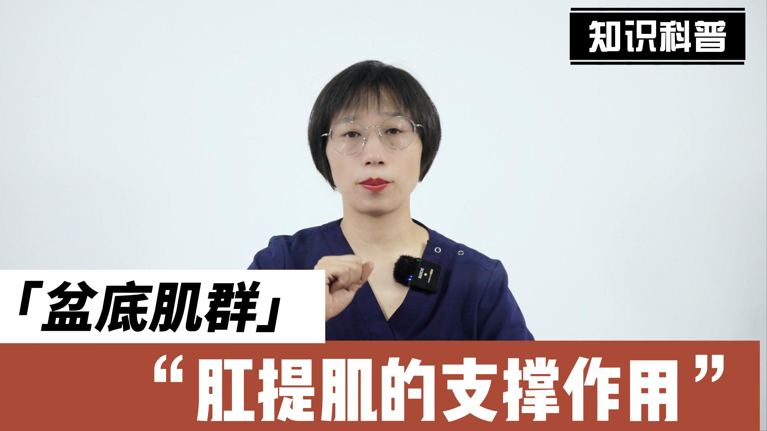 女性盆底肌群之“肛提肌”的支撑作用!