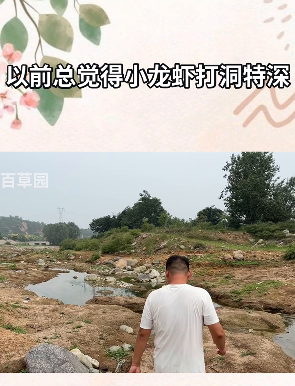 以前总觉得小龙虾打洞特深