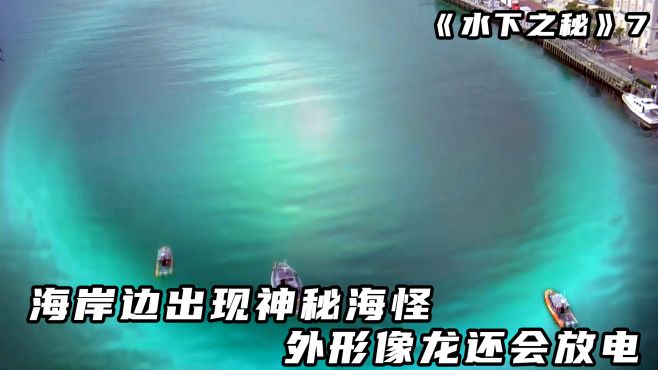 [图]海岸边出现神秘海怪，外形像龙还会放出巨大电流，水下之秘第七集