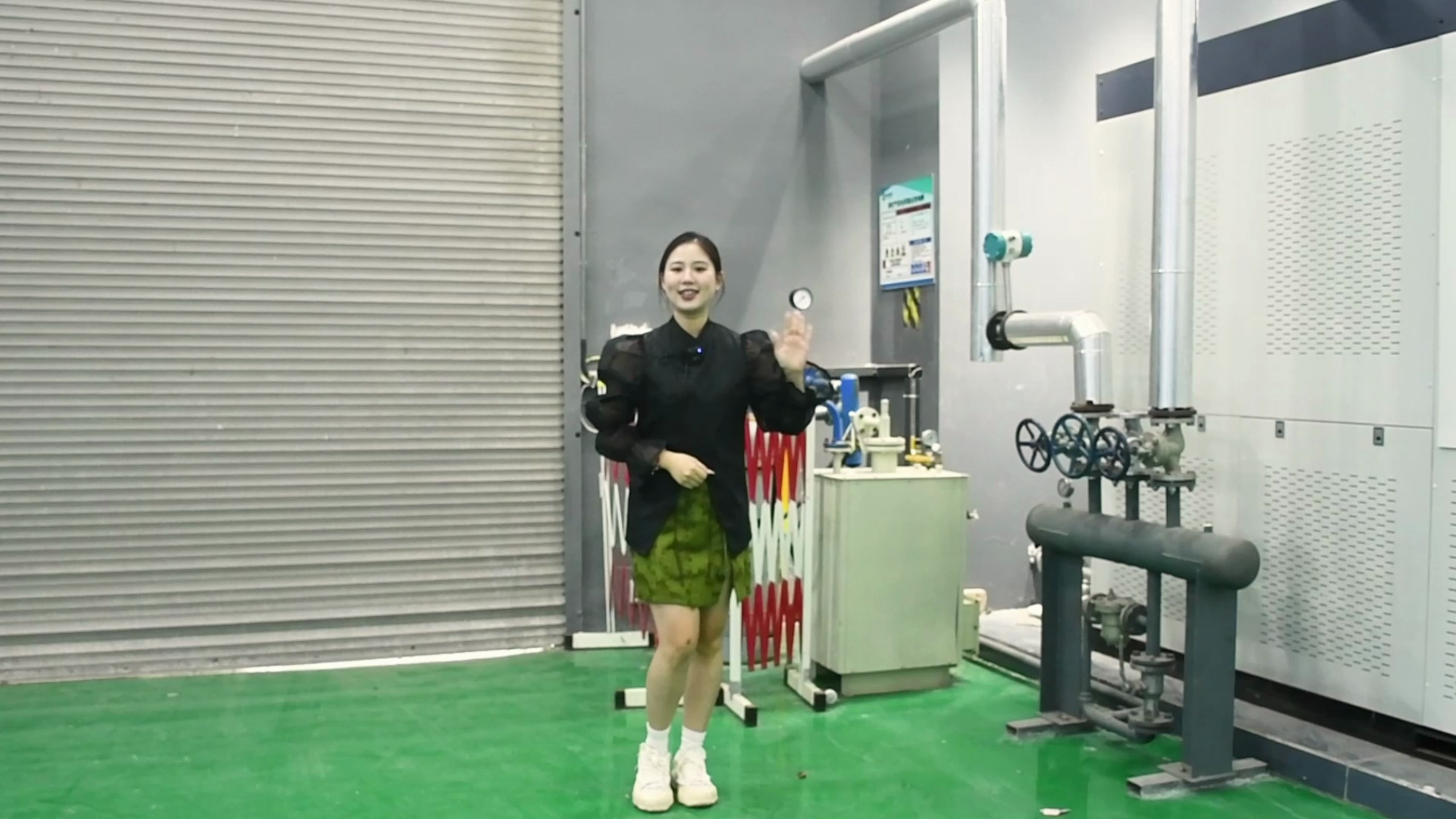 蒸汽发生器 天然气液化气通用型