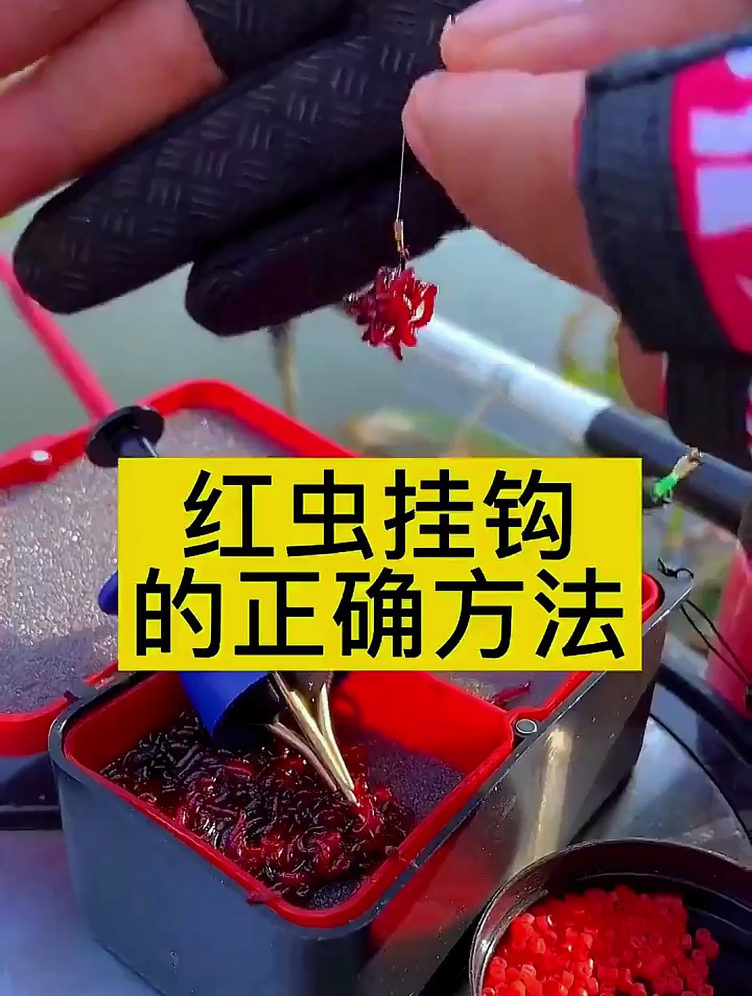 红虫正确的挂钩方法,方便快捷还不脏手,钓鱼高手都在用!-度小视