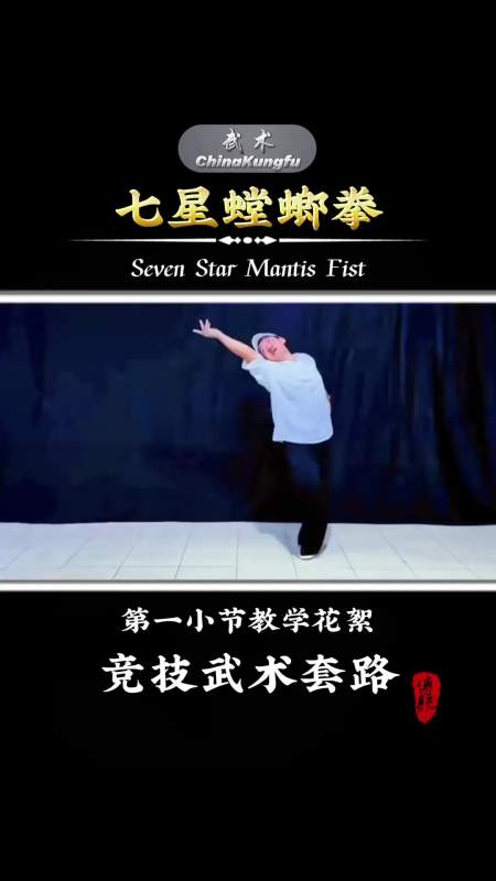 竞技武术套路七星螳螂拳于海老师版第一小节教学花絮