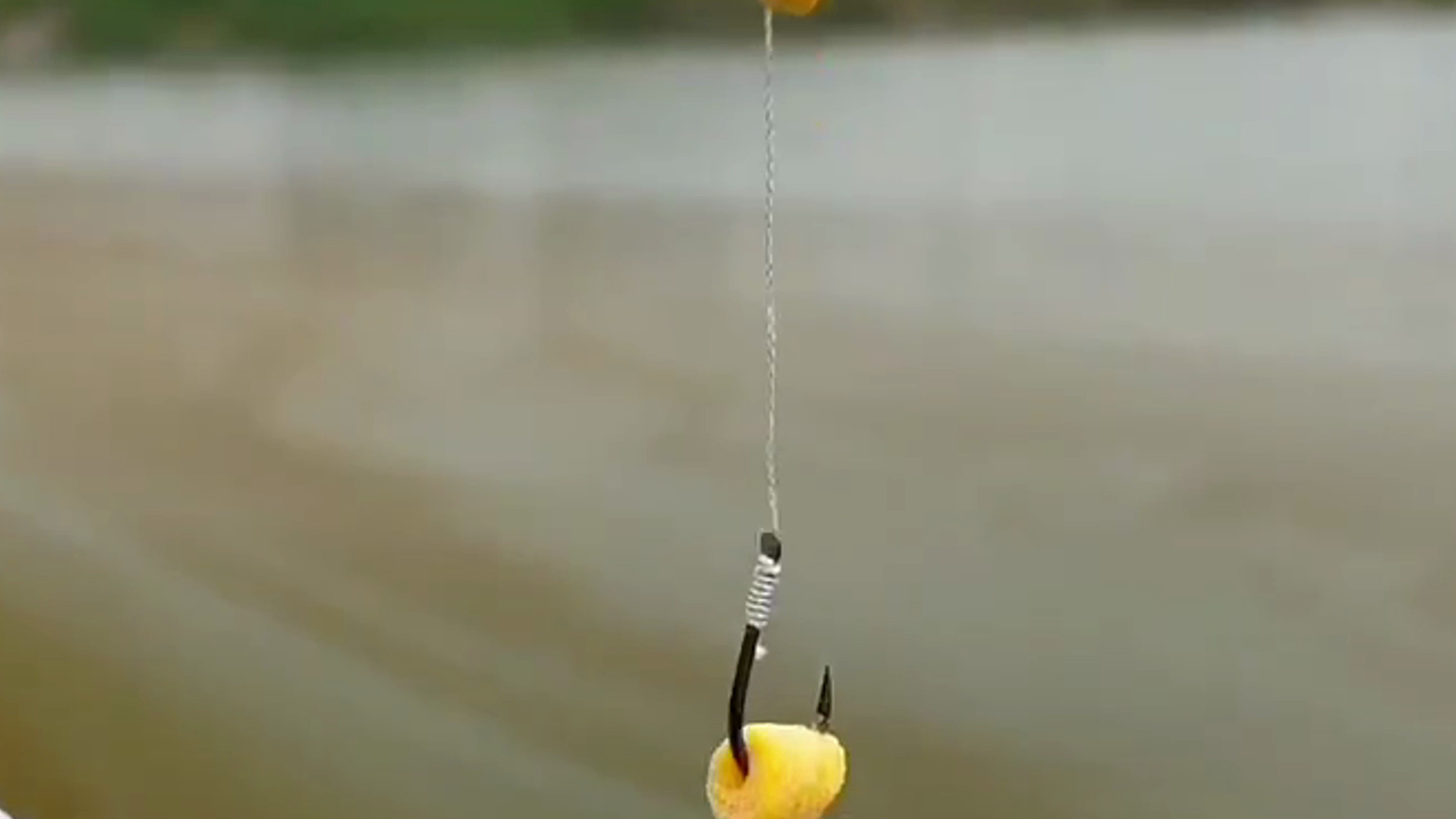 11月的鲫鱼是怎样钓的,你知道了吗?