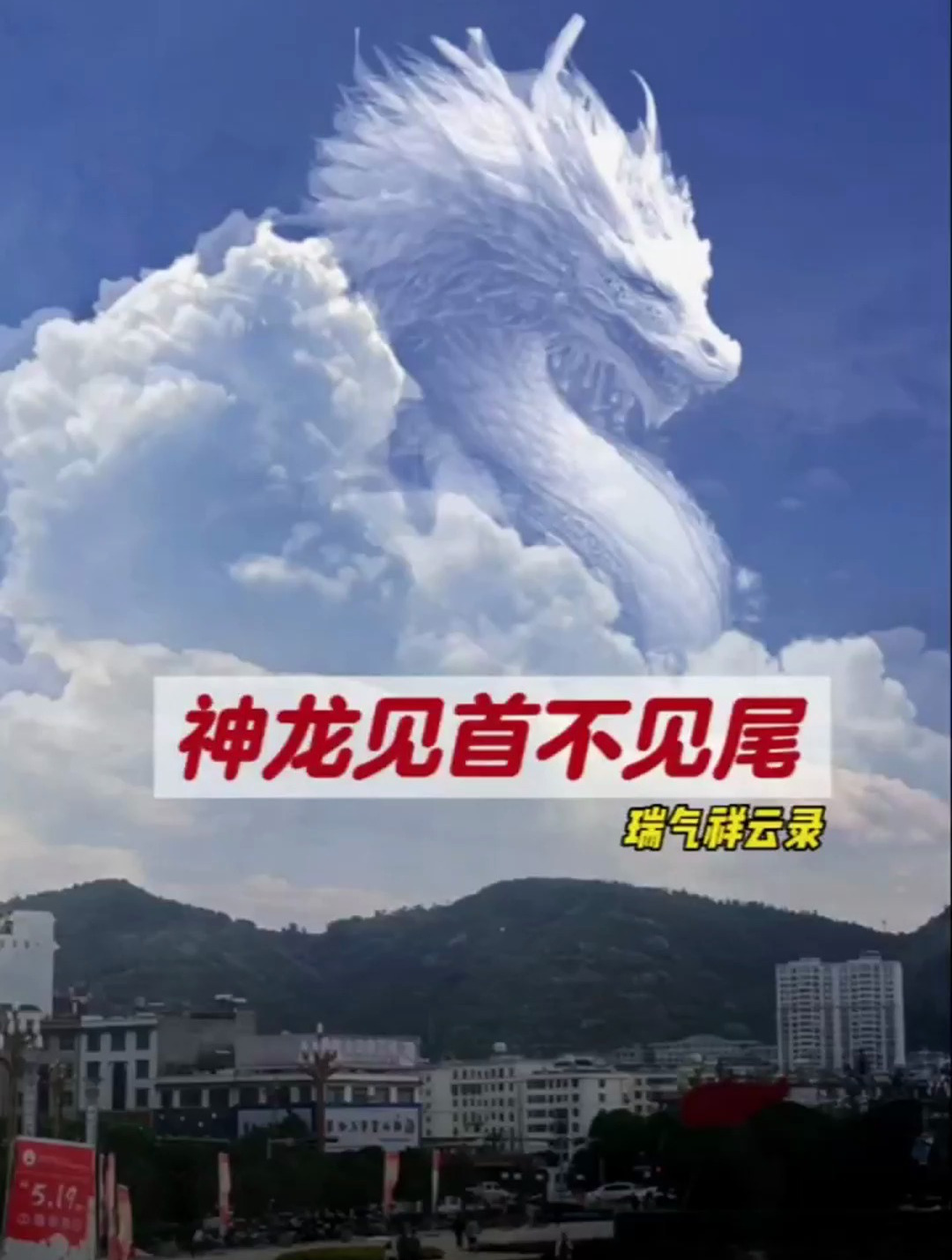 看得见的青春 神龙见首不见尾