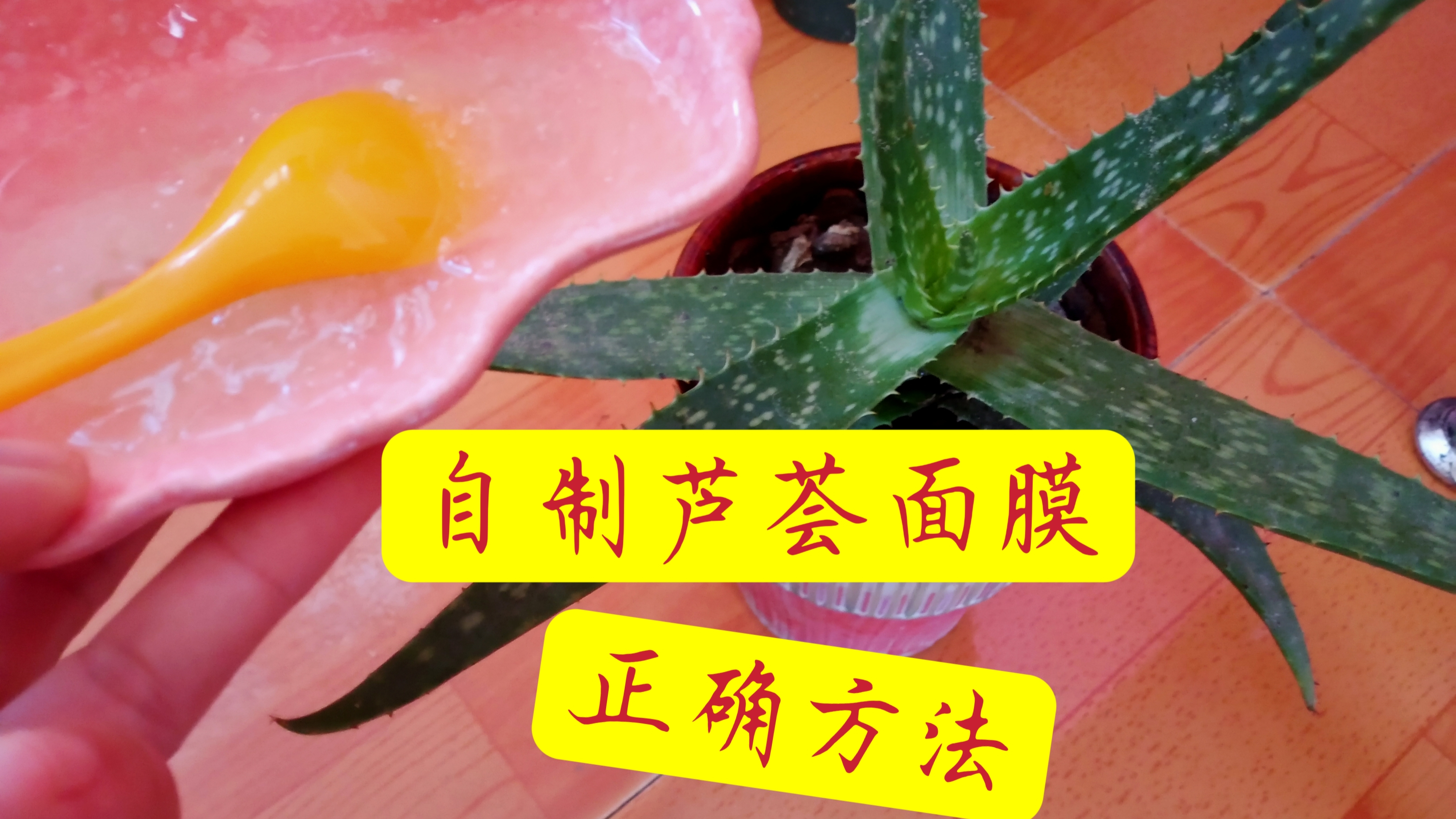自制芦荟面膜,有个正确的方法,不痒效果好