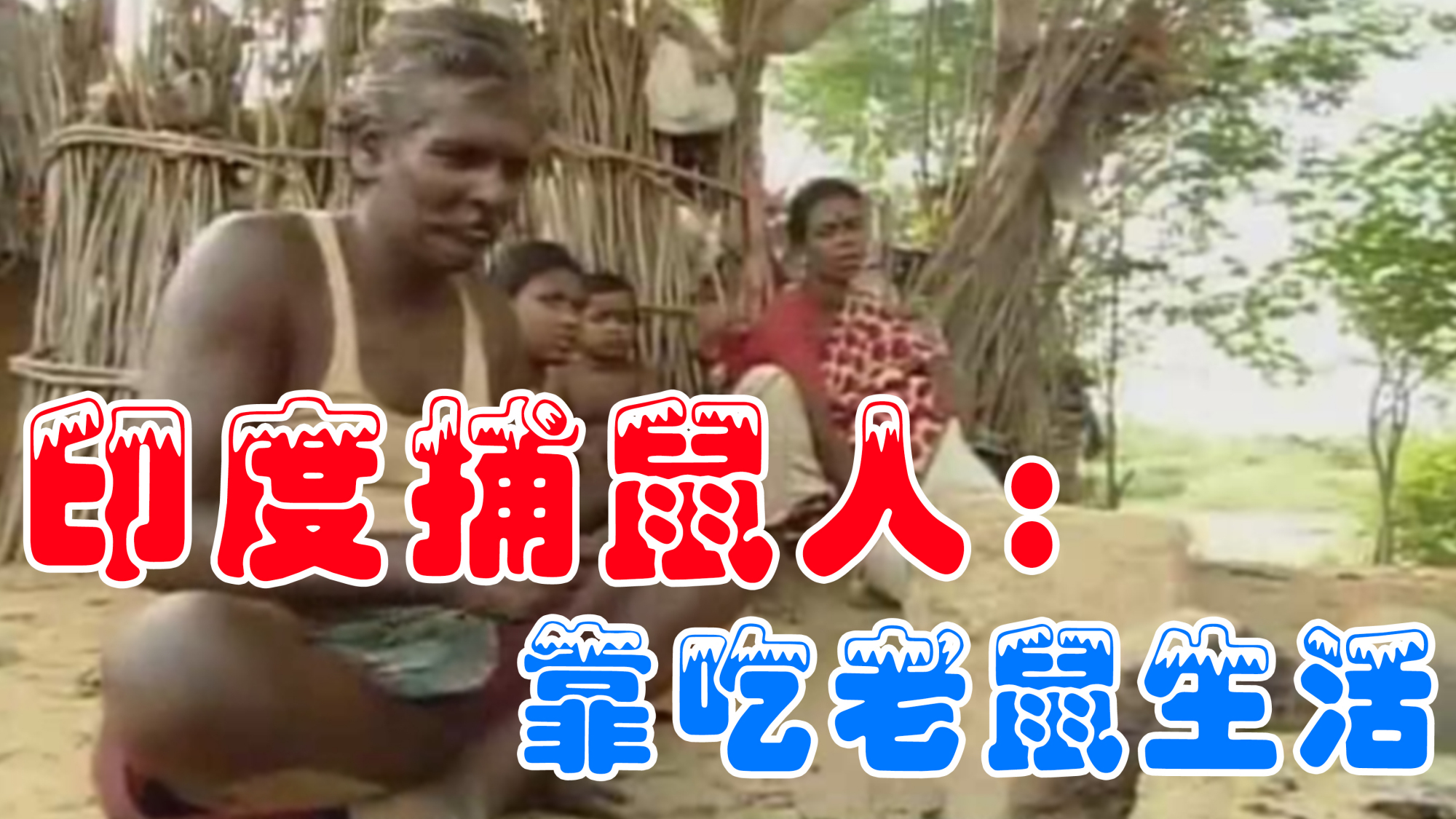 印度捕鼠人:世世代代只能吃老鼠,称老鼠肉最好吃