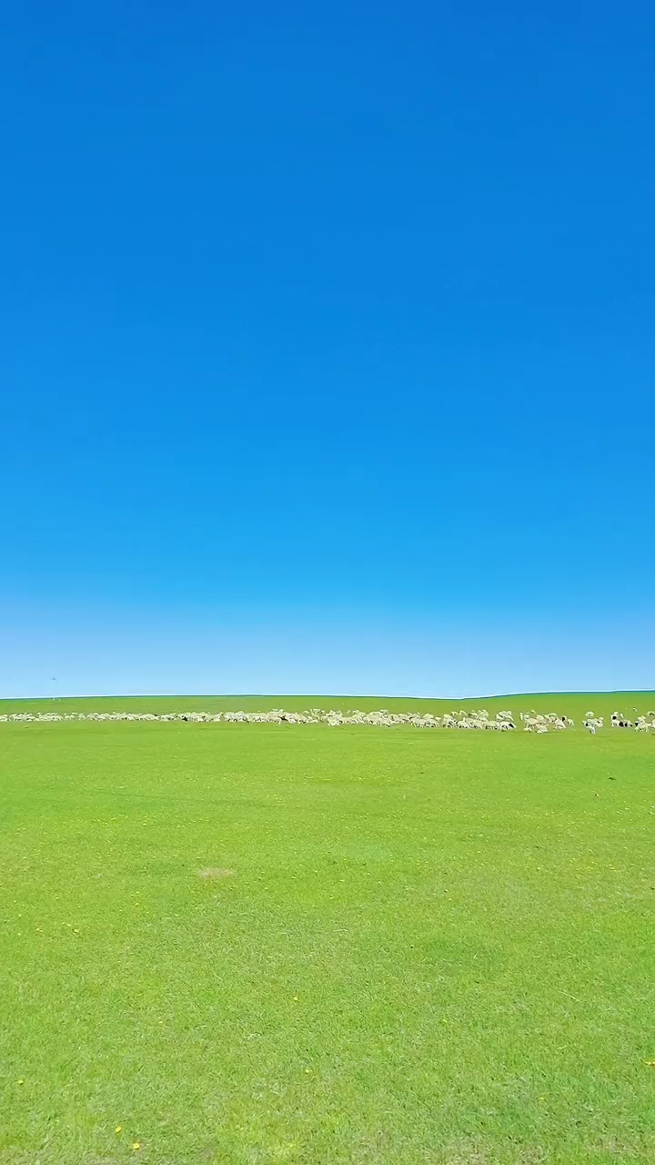 草原一马平川,又宽广又平坦,嫩绿色得草原覆盖着大地-度小视