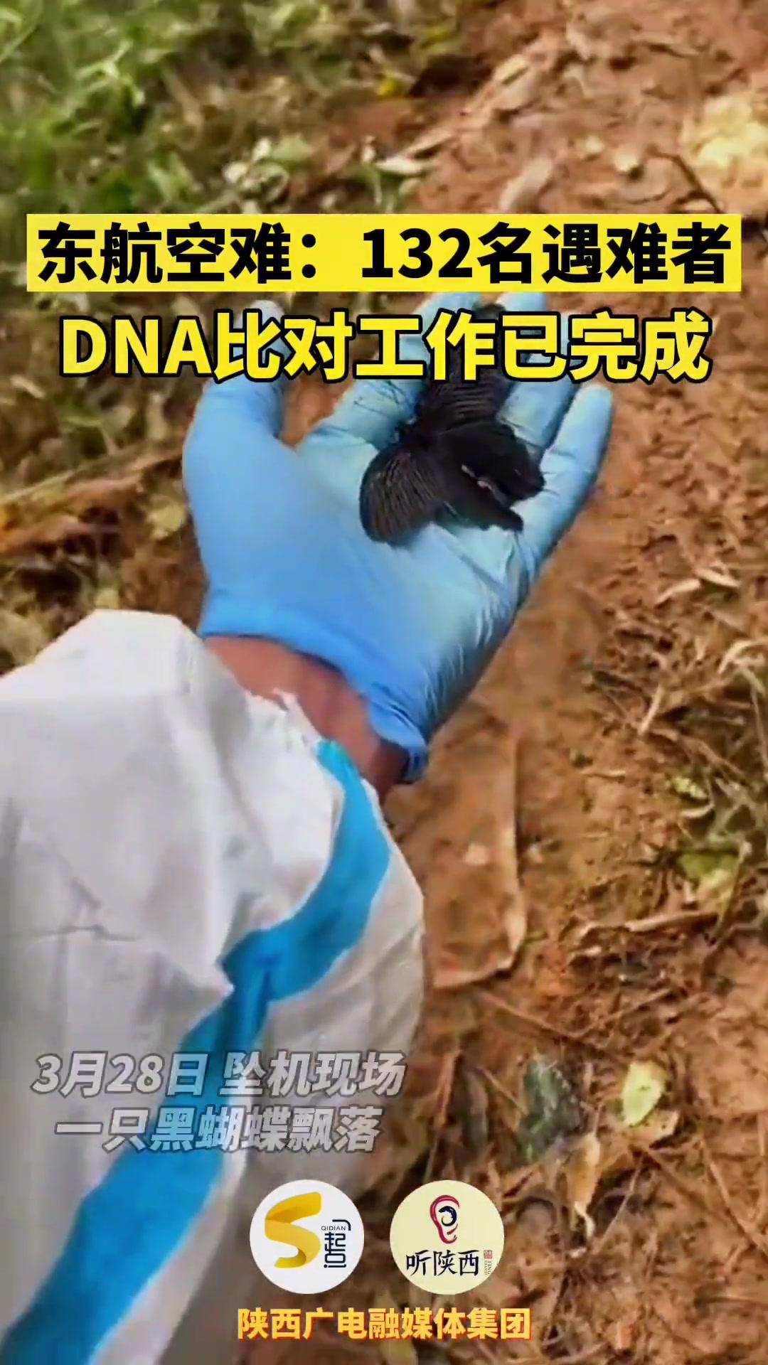 东航空难:132名遇难者的dna比对工作已完成