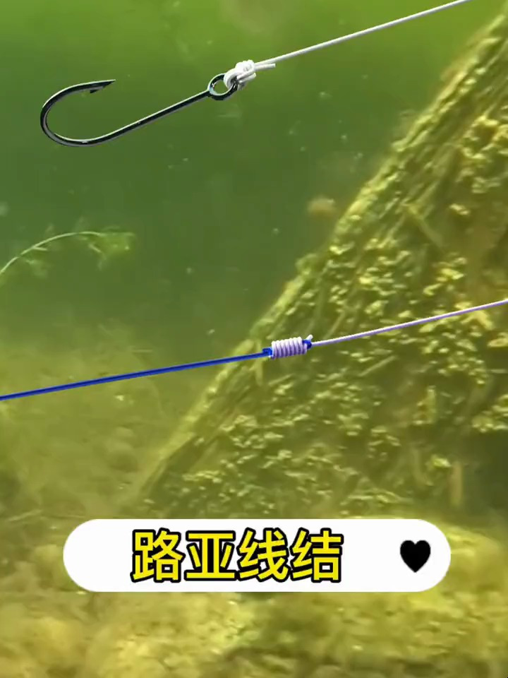 路亚前导线的绑钩教程新手看一遍就能学会
