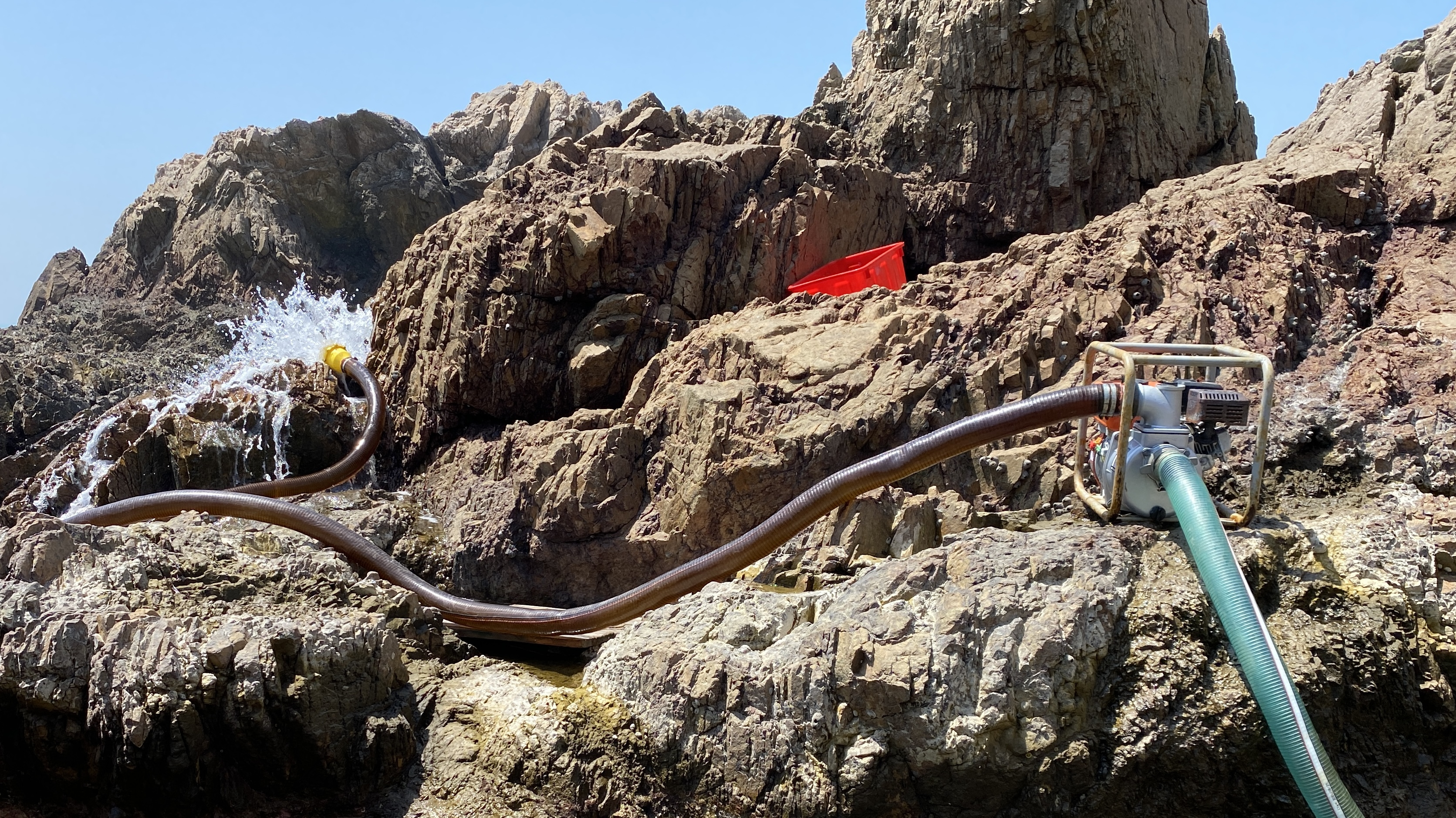 半个月前打窝的二十米长坑 鱼群如云 力擒凶狠鳗鱼不敌遭到反杀