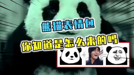 你知道熊猫头表情包的来源吗?两位网友的互怼,迅速将熊猫头带火