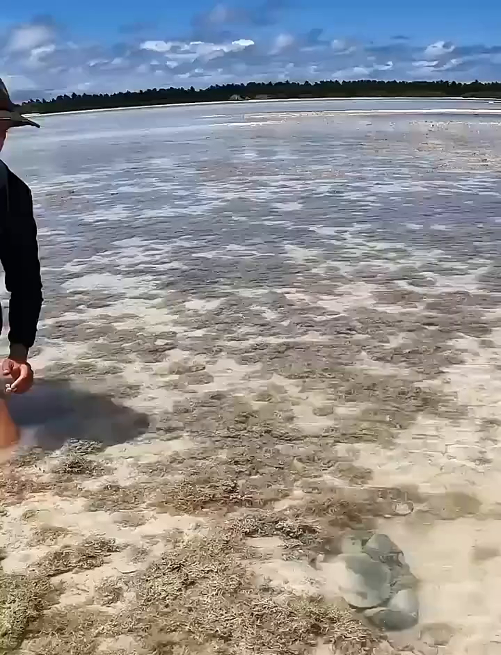 海边捉蟹:渔夫赶海时一连抓到好几只大青蟹