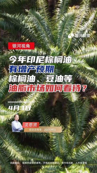 今年印尼棕榈油有增产预期棕榈油,豆油等油脂市场如何看待?